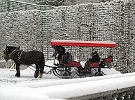 Arriving at Linderhof by sledge