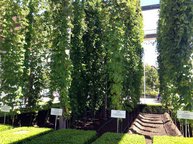 German Hop Museum in Wolnzach